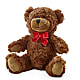 Adorable Plush Bear –  Coupeville Florist, Coupeville WA