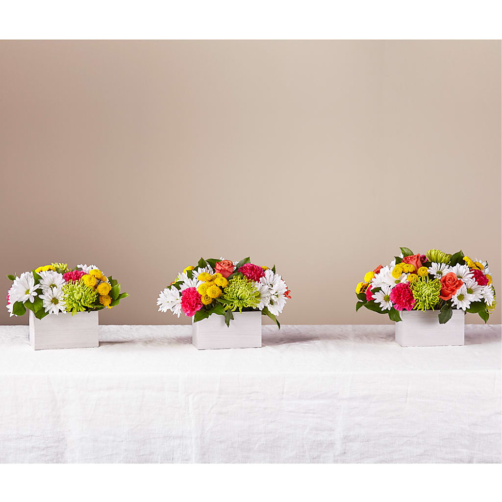 Sorbet Bouquet –  Coupeville Florist, Coupeville WA
