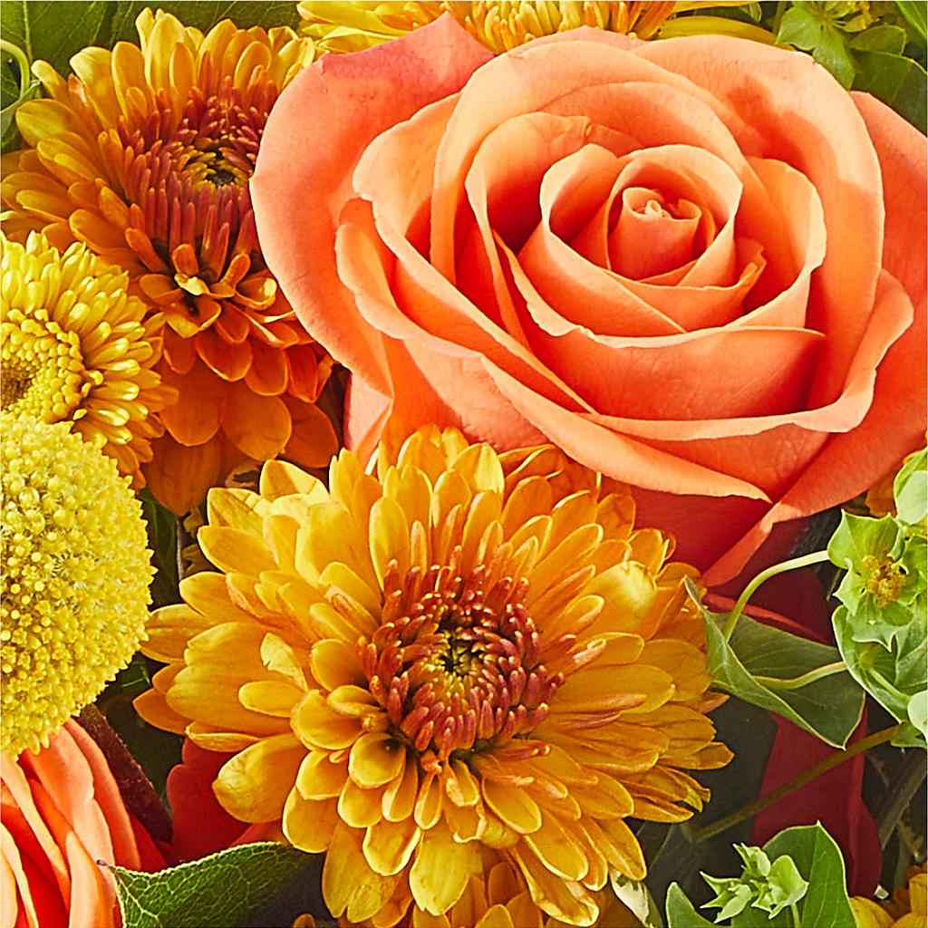 Gourdgeous Pumpkin –  Coupeville Florist, Coupeville WA