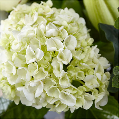 Classic Ivory – A Florist Original –  Coupeville Florist, Coupeville WA