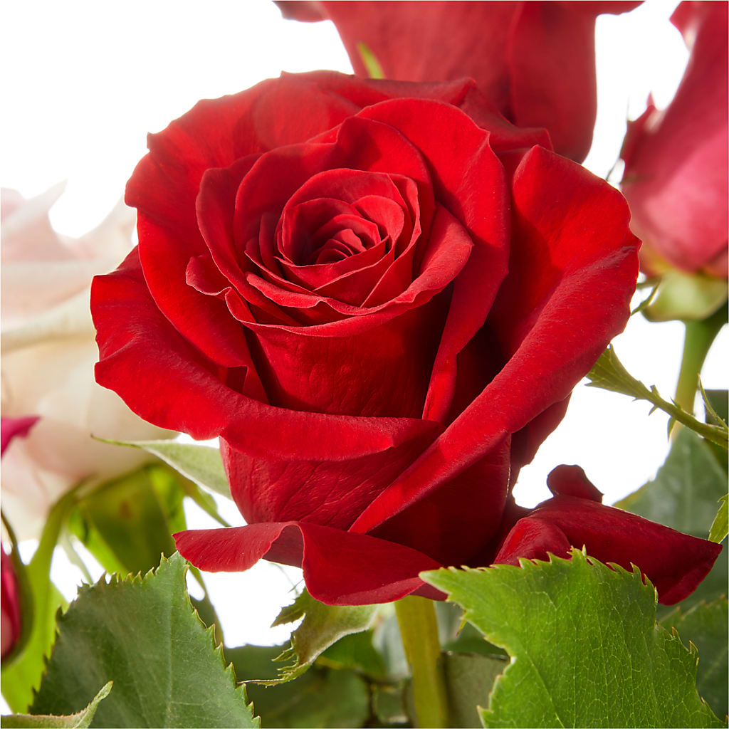 Love Notes Rose Bouquet –  Coupeville Florist, Coupeville WA