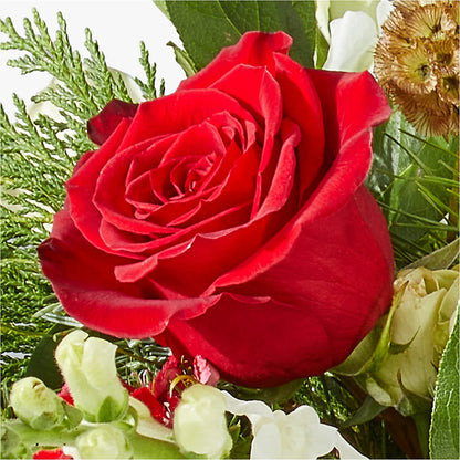 Deck the Halls Bouquet –  Coupeville Florist, Coupeville WA